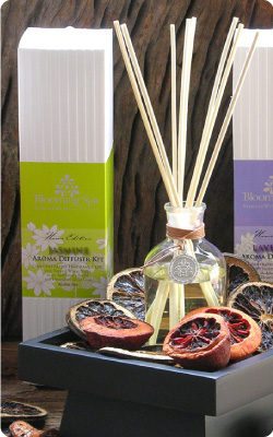 Diffuser Kit