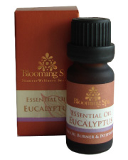 Essential Oil | Eucalyptus Essential Oil