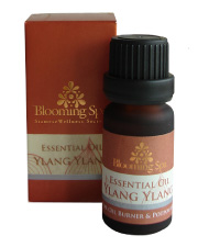 Essential Oil | Ylang Ylang Essential Oil