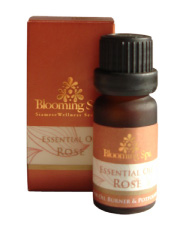 Essential Oil | Rose Essential Oil