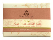 Natural Soap Bar | Olive Natural Soap Bar